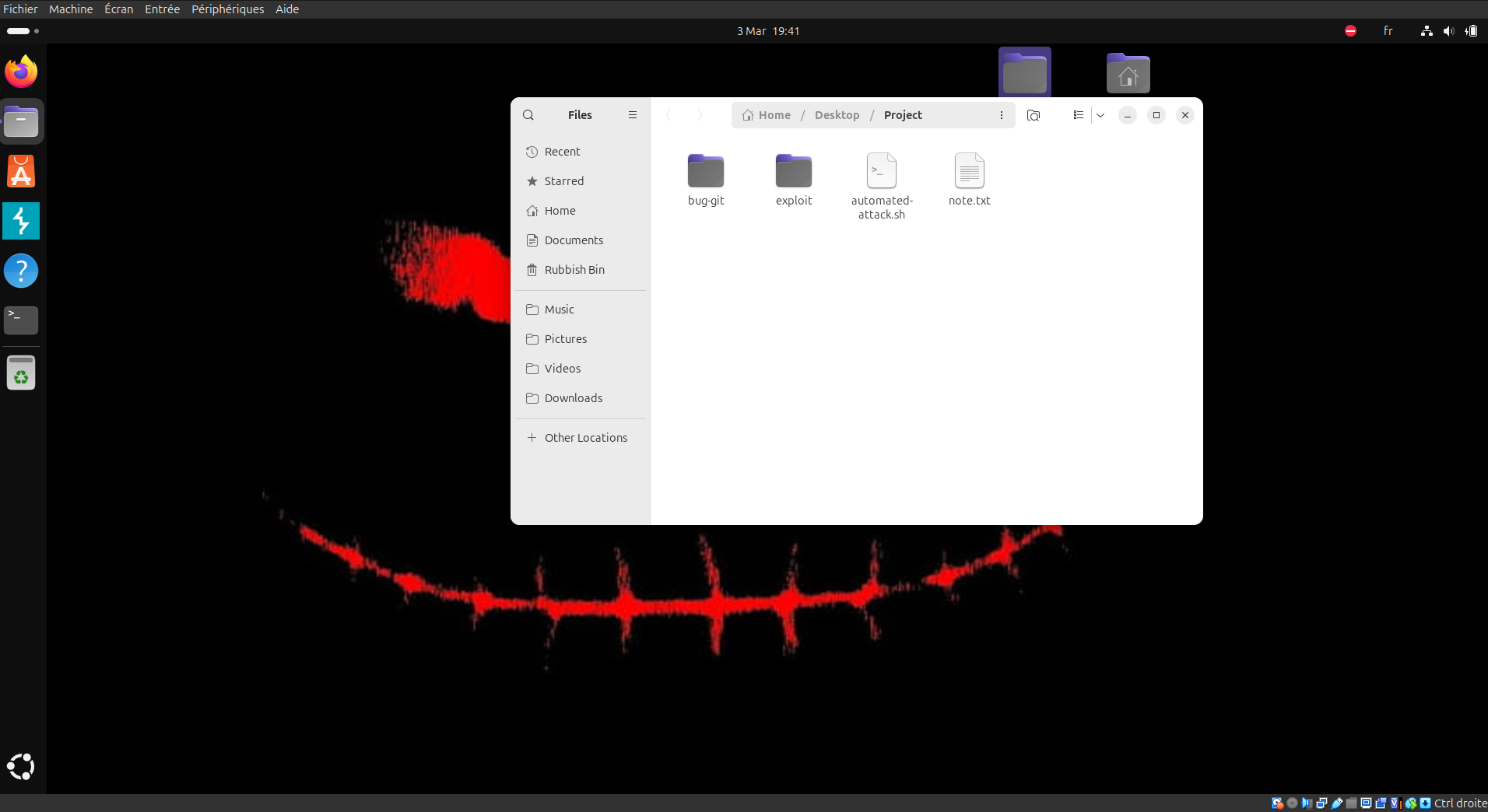 Contents of the Project directory