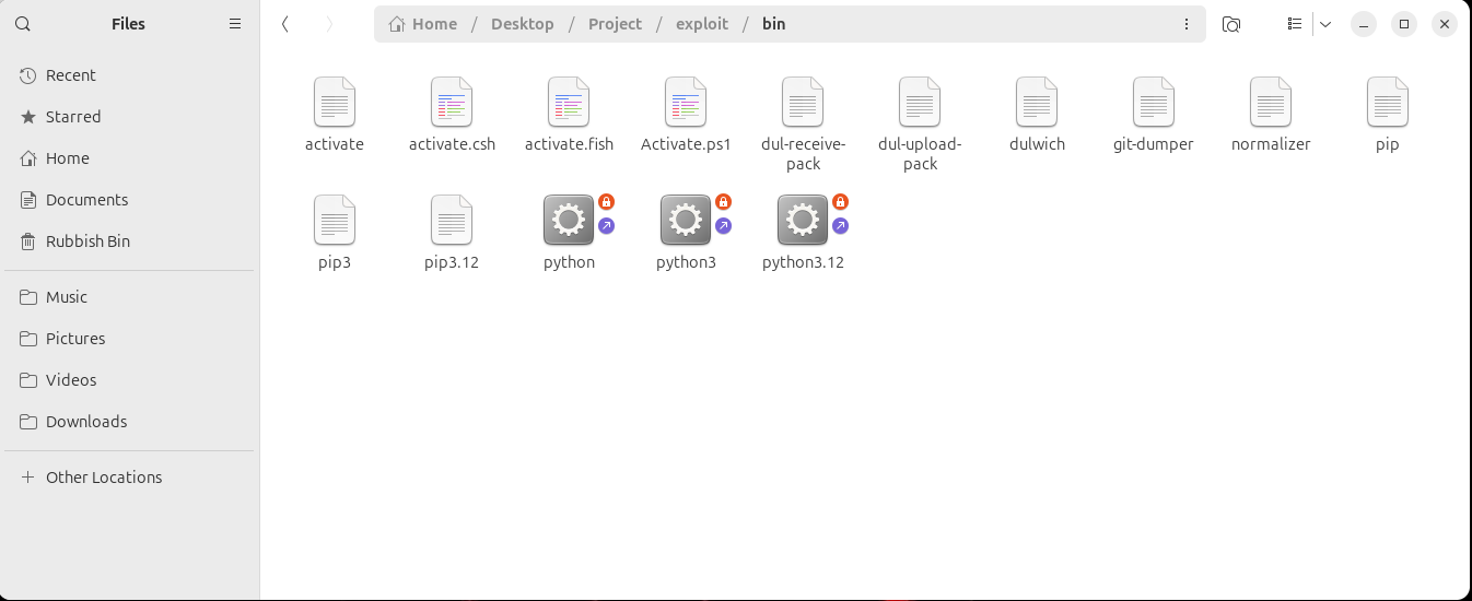 git-dumper present on the VM