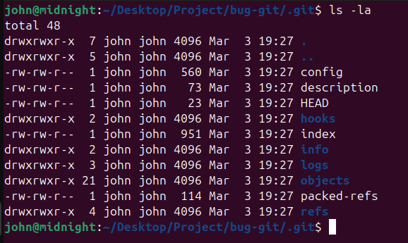 Suspicious Git directory structure